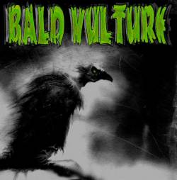 Bald Vulture : Bald Vulture